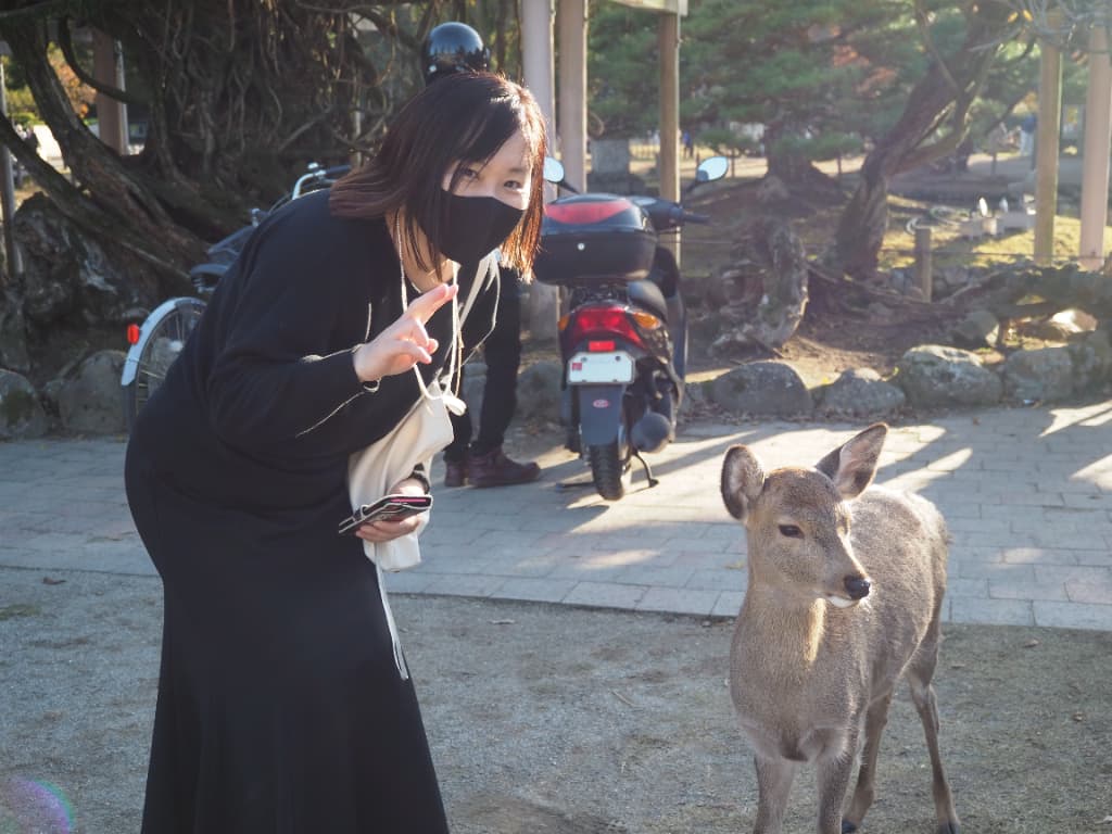 修学旅行